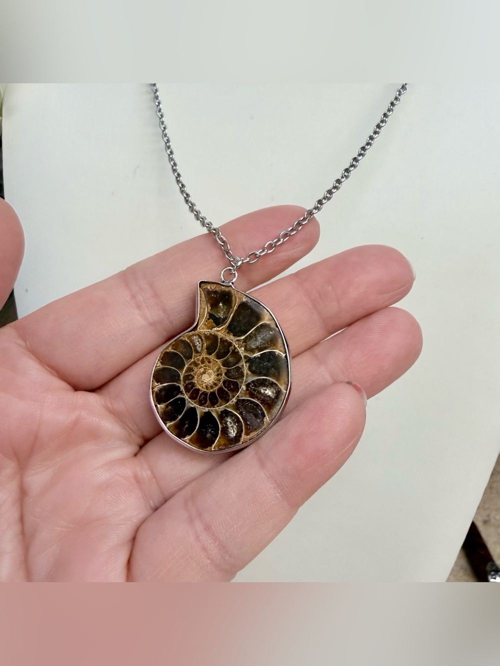 Natural Ammonite Fossil Pendant Necklace Silver